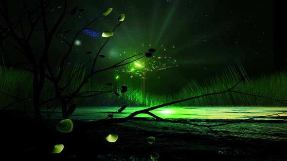 Fireflies loop | Grass landscape background