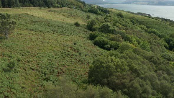 AERIAL APPROACH- 2 modern houses nestled in the foliage beside the Sound of Mull