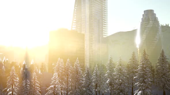City and Forest in Snow