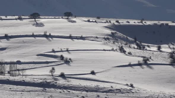 now Covered Fields and Meadow in Winter