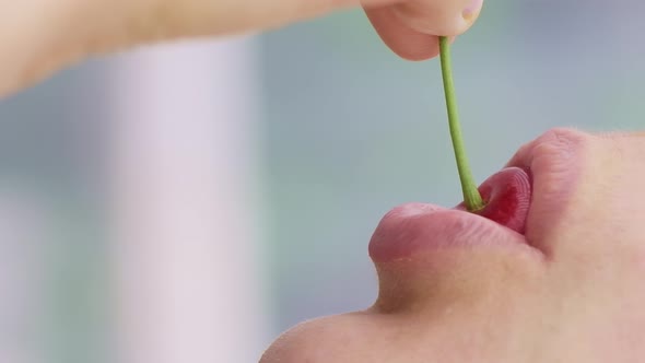 Macro of a Caucasian Young Girl is Biting Red and Ripe Wild Cherry