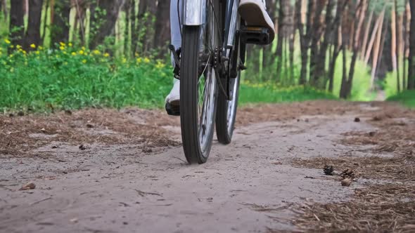 Woman on Bicycle Rides on Forest Path Between Green Trees Slow Motion