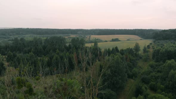 View of forest and field in Kolbudy, Kaszubia, pomorskie, Poland