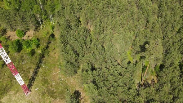 Lookout tower in the woods. Fire tower in the woods