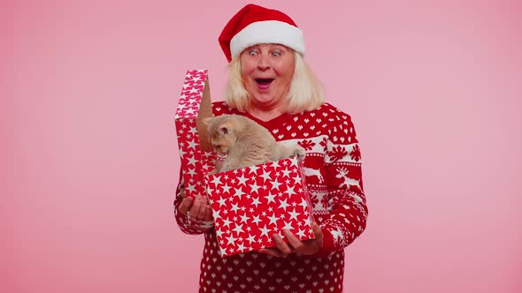 Grandmother in Christmas Sweater Smiling Unwrapping Gift Opening Box with Pet Cat Great Surprise