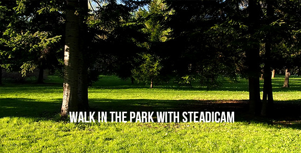 Walk In The Park With Steadicam