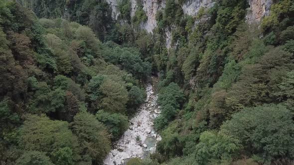 Mountain river surrounded by green trees. Top view of the forest and the river. Beautiful stones by