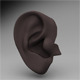 Ear - 3DOcean Item for Sale