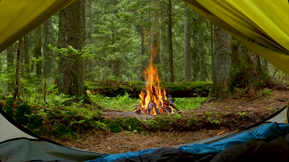 A View From a Tourist Tent to a Bonfire and a Magical Forest