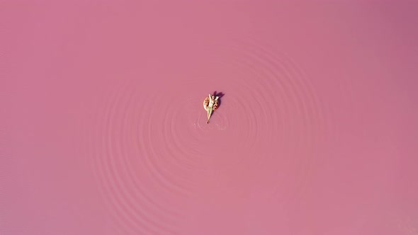 Aerial View of a Man in a Pink Lake