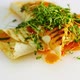 Fry pita bread on white plate. Shawarma fried on grill with microgreen on top. - VideoHive Item for Sale