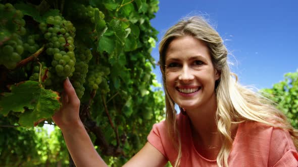 Portrait of happy woman examining grapes in vineyard