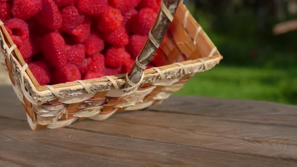 Raspberries Fall From the Basket Onto Wooden Table