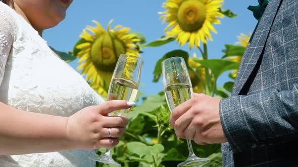 Bride and Groom in Wedding Dresses Standing with Champagne Glasses in the Field of Sunflowers
