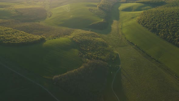 Aerial View Over Agricultural Land and Green Forest in Sunny Summer Evening