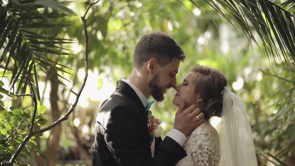 Newlyweds. Caucasian Groom with Bride in the Park. Wedding Couple. Happy Family