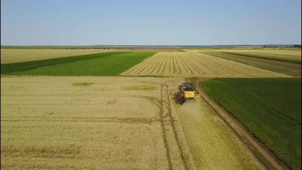 Combine Harvester Harvests Ripe Wheat