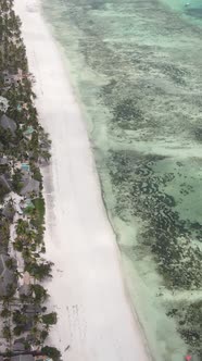 Beach on the Coast of Zanzibar Island Tanzania