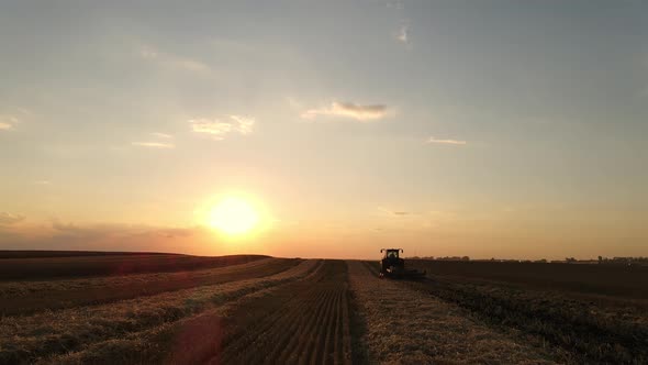Working In A Wheat Field At Sunset