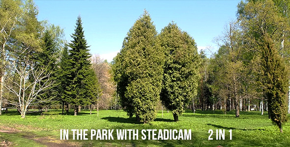 In The Park With Steadicam alt