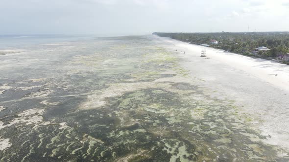 Shore of Zanzibar Island Tanzania at Low Tide Slow Motion