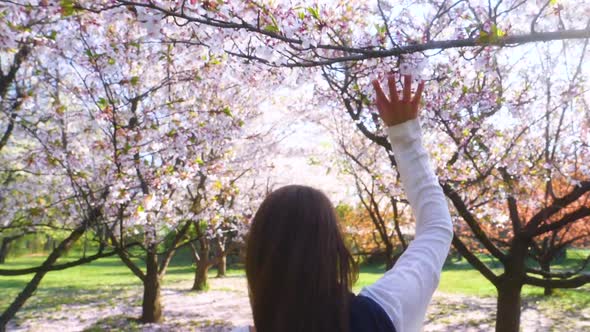 Girl walking in Japanese Garden with blooming trees. Young woman with long hair enjoys spring