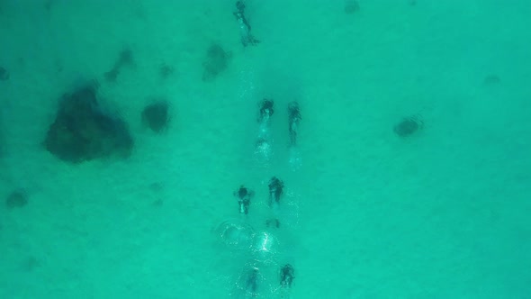 Group of divers swimming underwater in pristine blue ocean water, amazing diving adventure.