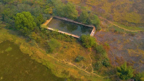 Old swimming pool abandoned and surrounded by nature in India. Drone shot.