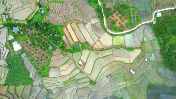 Aerial view of drones flying over rice terraces