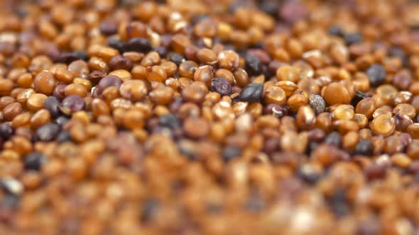 Canihua Seeds Rotating Background. Organic Superfood Chenopodium Pallidicaule