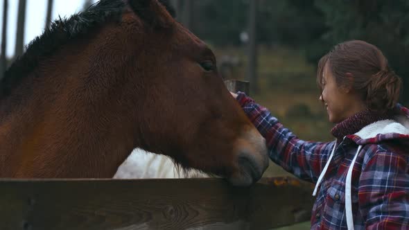 Close Up Broll Tender Pretty Woman Stroking a Horse Through Wooden Fence on Woods Background