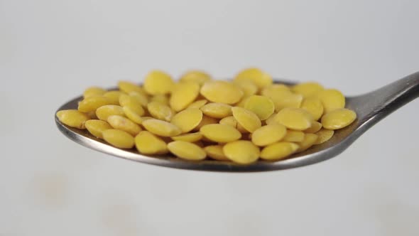 Spoonful of yellow raw lentil seeds on a white background. Falling legumes in slow motion