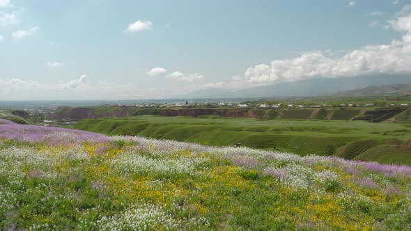 An air flight at high speed over a field with green grass and colorful flowers and then a small town