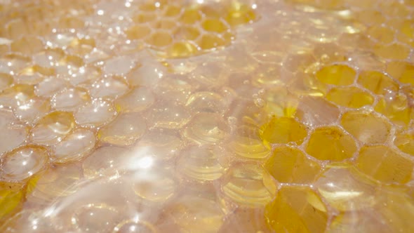 Honeycomb Frame with Golden Organic Honey