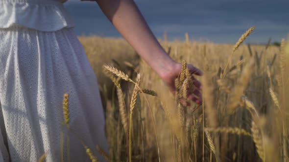 Young Girl Walking Through a Wheat Field