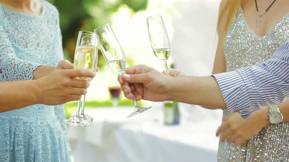 Friends Drinking White Wine, Toasting Enjoying Time Together. Party Outdoors. Sophisticated Holiday