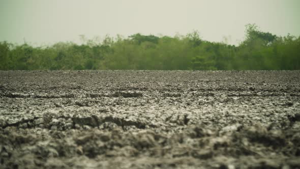 Mud Volcano Bledug Kuwu, Indonesia