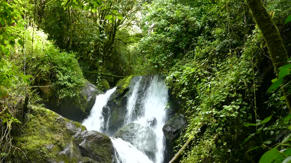 Rapid water rushed over boulders from a river creating a waterfall. Beautiful green trees and vine s