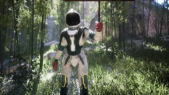 Astronaut With An Alpha Channel Banner alt