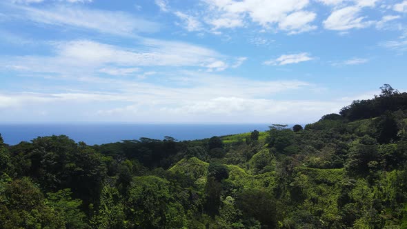 Tropical Island Landscape on Maui, Hawaii - Aerial