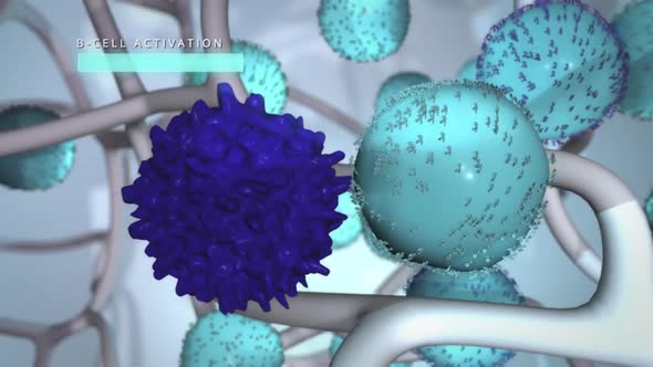 Microbiology Animation of Cell Proliferation