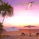 Tropical Holidays On The Sunny Beach - VideoHive Item for Sale