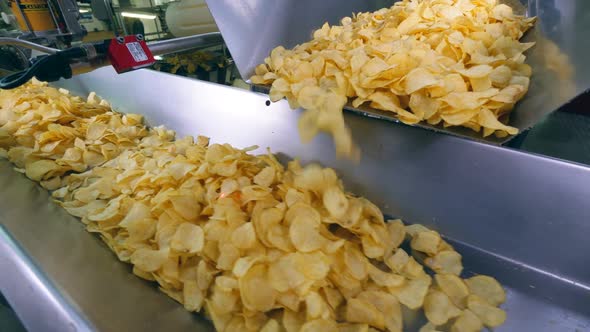 Fresh Chips Are Getting Transported By Industrial Machine