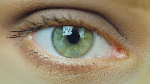 Closeup of a Young Woman's Eye