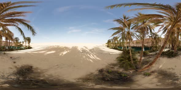 VR360 View of Palm Oasis in Desert