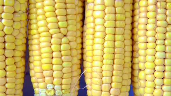 Detail Shot of Sweet Corns on Table