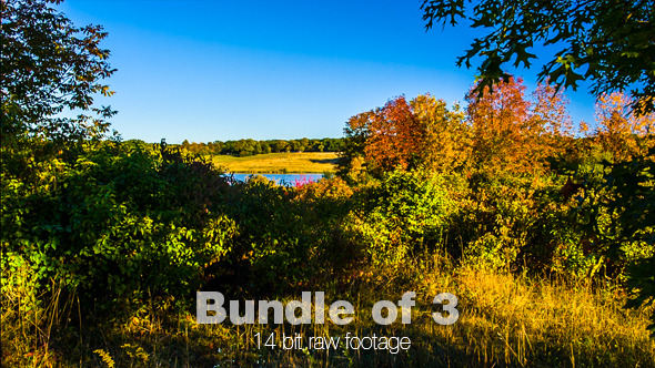 Late Summer Clear Sky alt