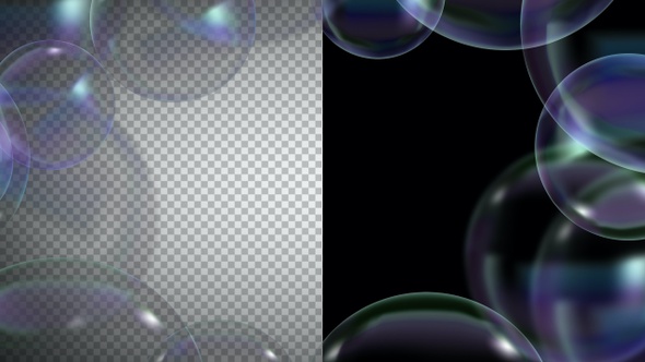 Holiday Frame and Transitions alt