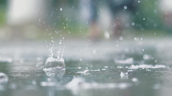 Slow Motion Large Rain Drops