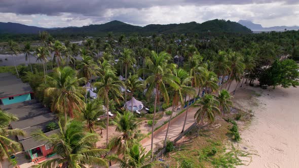Aerial View of a Luxury Resort Between Coconut Trees in Tropical Forest